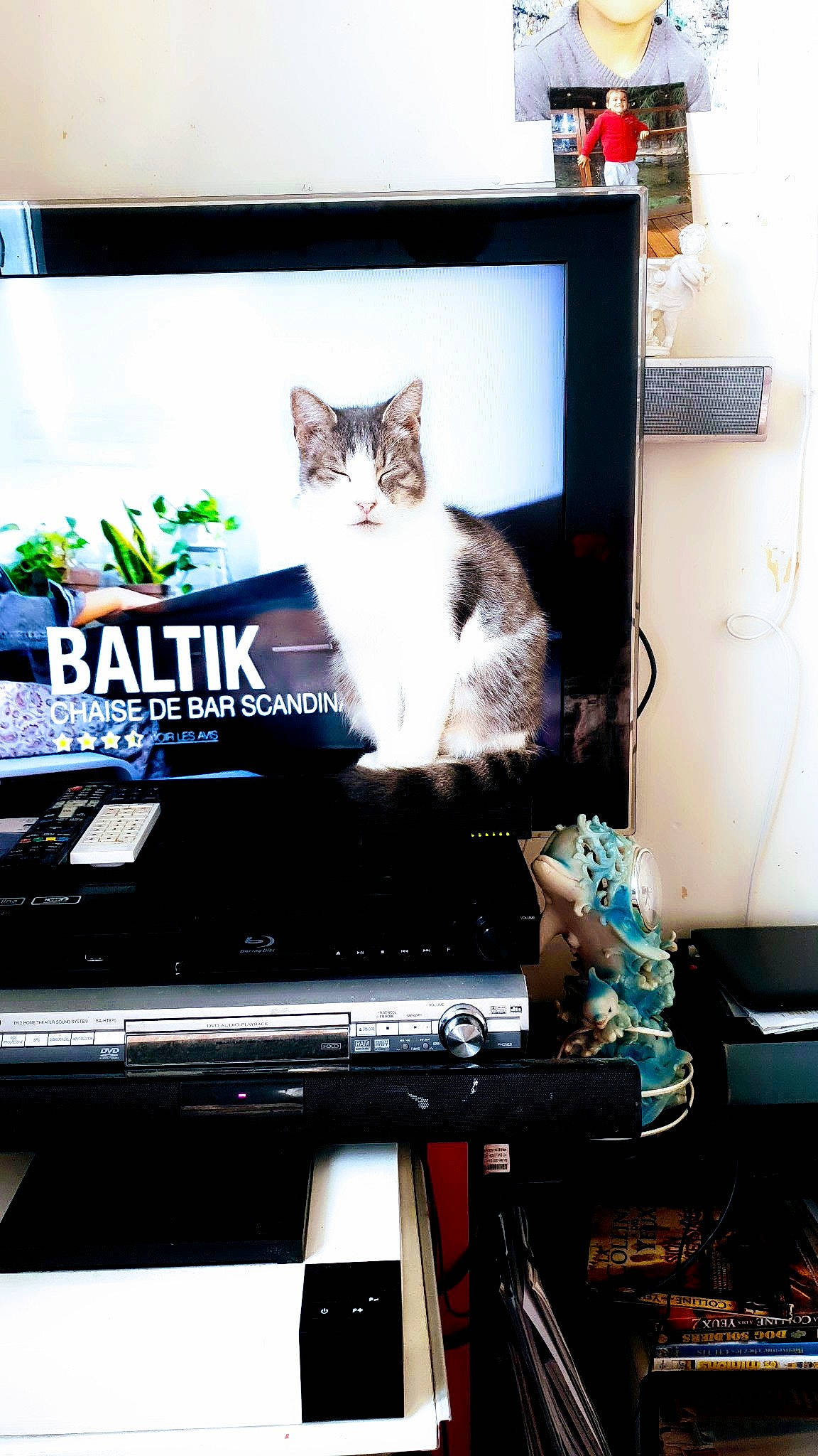 Chipie participe au concours pour gagner de l'argent avec cette photo : carnivore, cat, computer_monitor, desk, display_device, electronic_device, felidae, flat_panel_display, furniture, gadget, kitten, printer, room, small_to_medium_sized_cats, snapshot, technology, whiskers