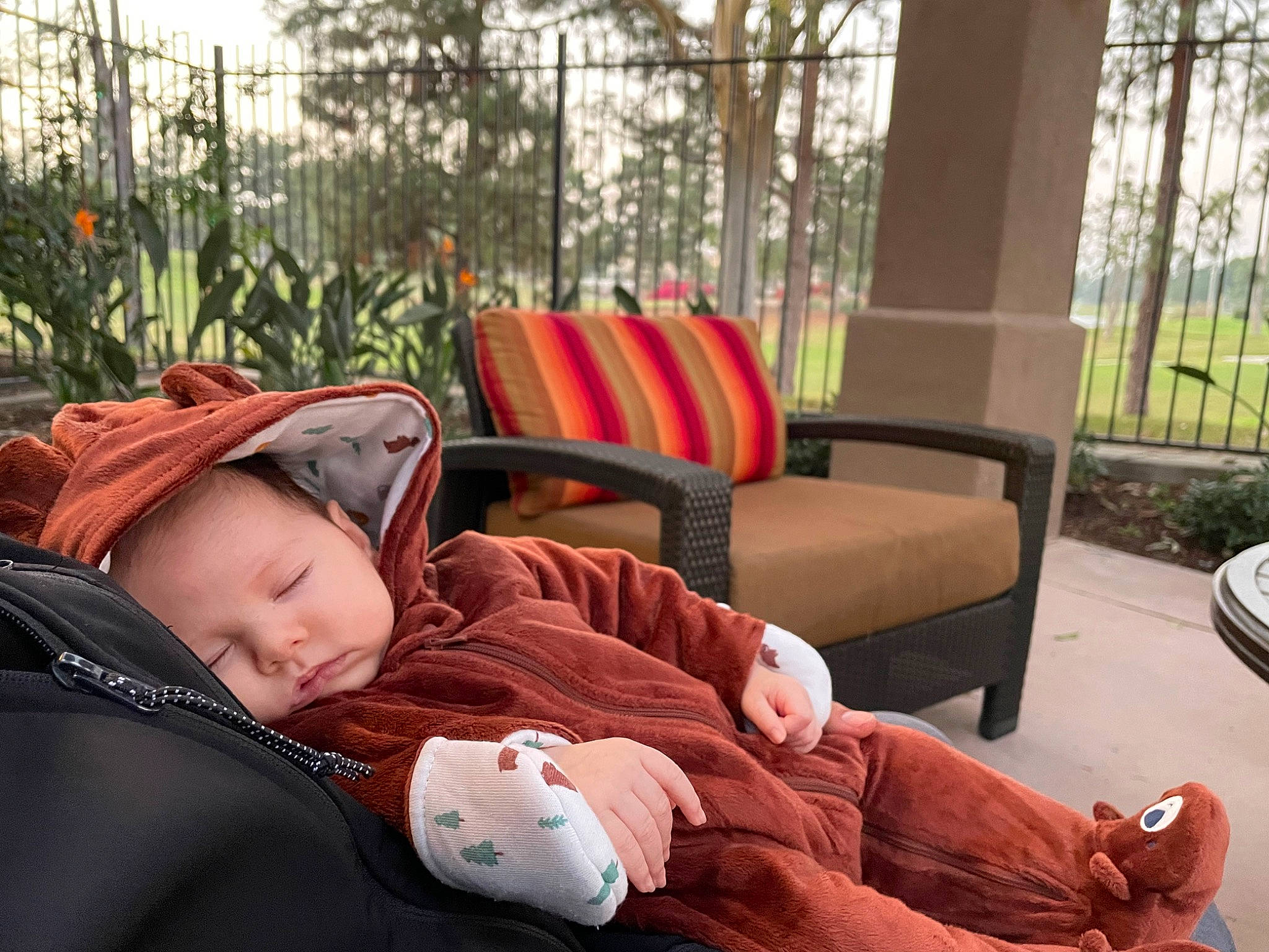 Mark is registered to the contest to win money with this photo: baby, baby_products, carmine, chair, child, comfort, fun, grass, lap, leisure, morning, person, plant, recreation, room, sitting, toddler, tree, vacation, winter