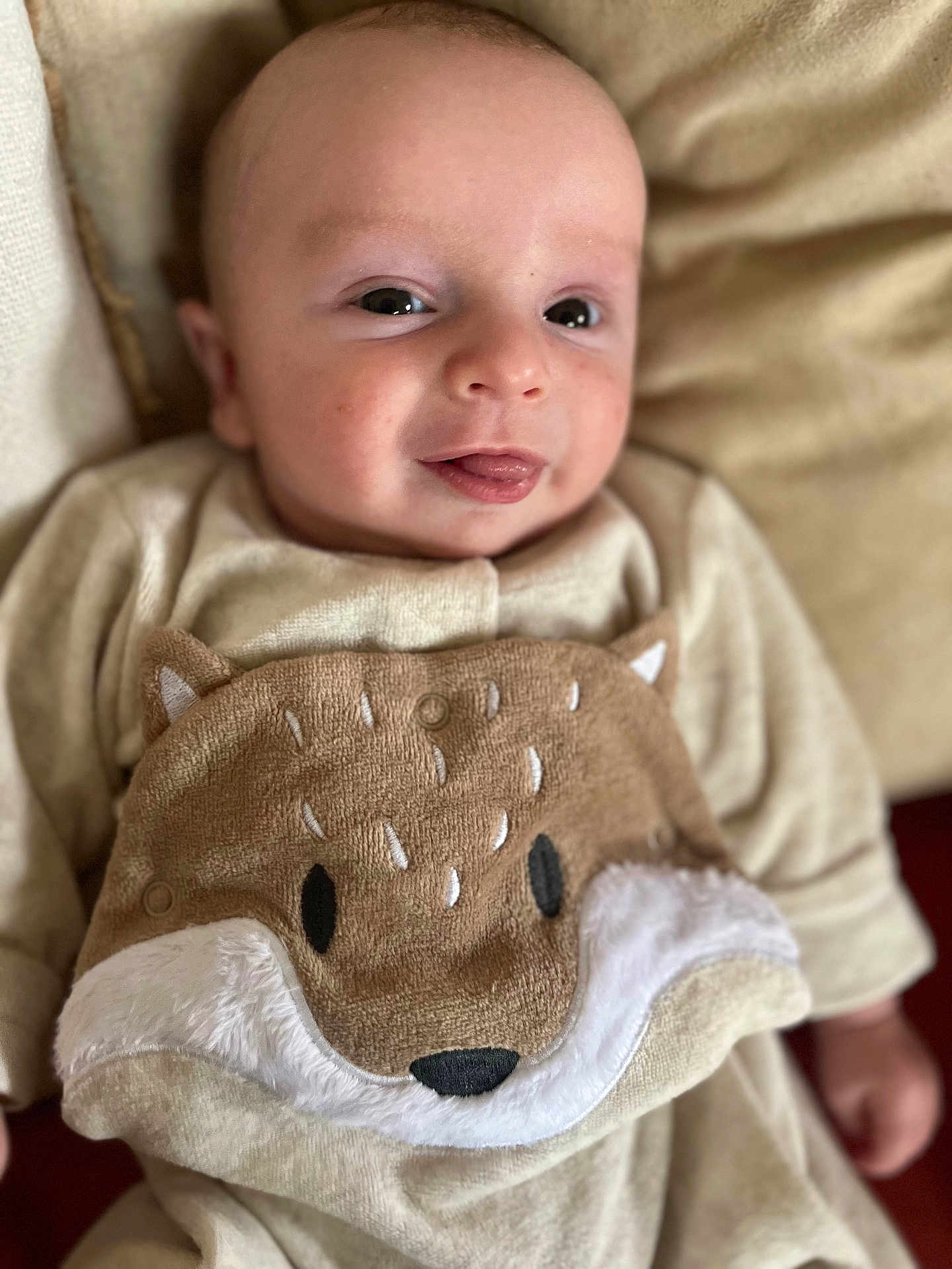 Noa participe au concours pour gagner de l'argent avec cette photo : baby, infant, newborn, face, eyes, tongue_out, onesie, plush, fox_design, blanket, soft_texture, close_up, portrait, smile, skin, head, hand, cozy, bedroom, adorable