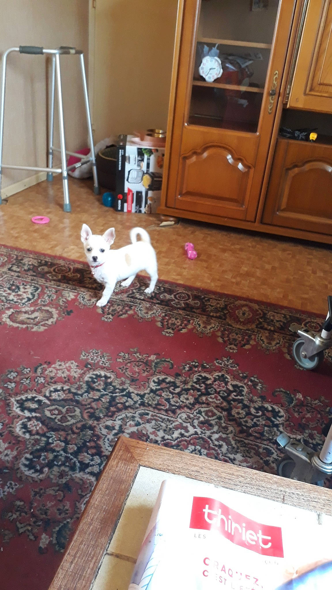 Pénélope