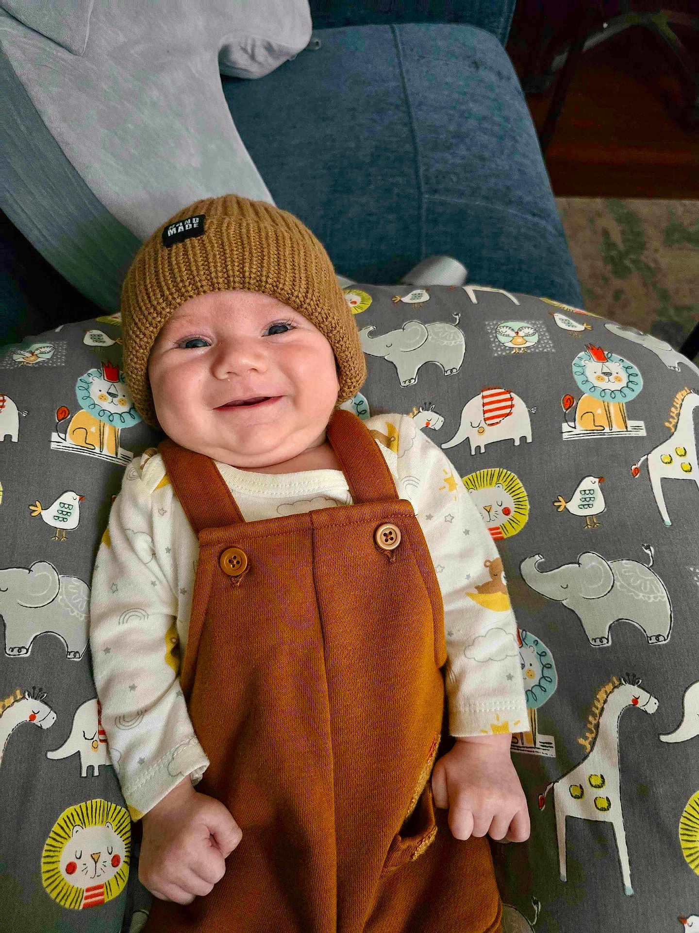 Sebastian joined the competition — help win amazing prizes! baby, child, smile, hat, knit_hat, overalls, brown_clothing, cushion, animal_pattern, lion, elephant, giraffe, bird, white_shirt, indoor, furniture, couch, pillow, happy, portrait