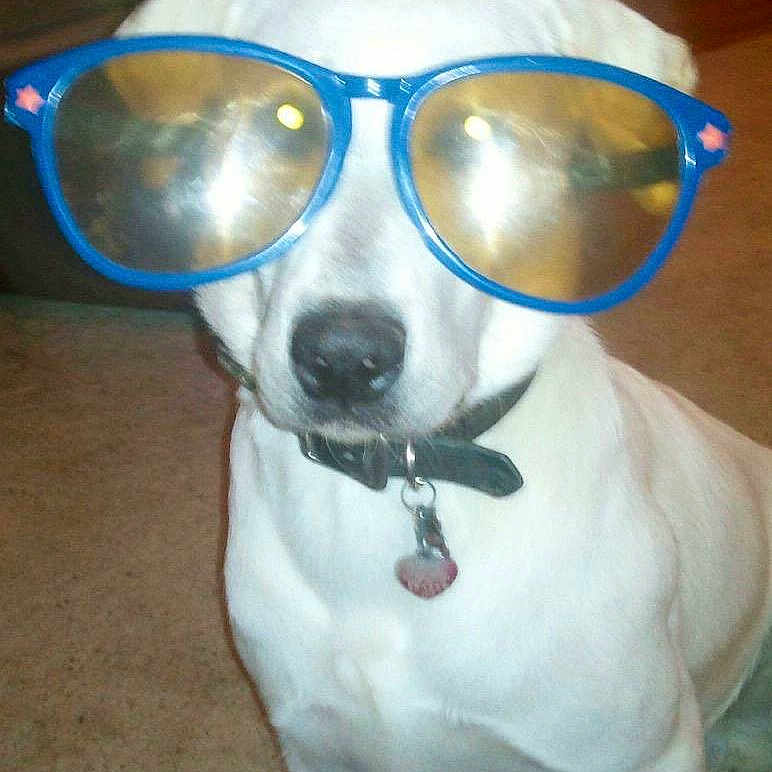 Boozer joined the competition — help win amazing prizes!