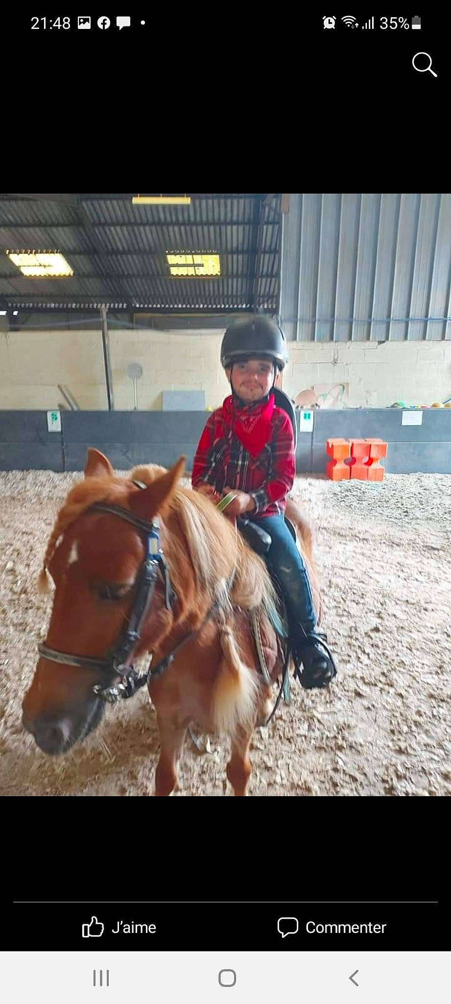 Zac a rejoint le concours — aidez-le/la à gagner de superbes lots ! animal_sports, bridle, equestrian_sport, equestrianism, event, fun, halter, headwear, horse, horse_supplies, horse_tack, joy, landscape, livestock, mane, mare, outdoor_recreation, pack_animal, person, recreation