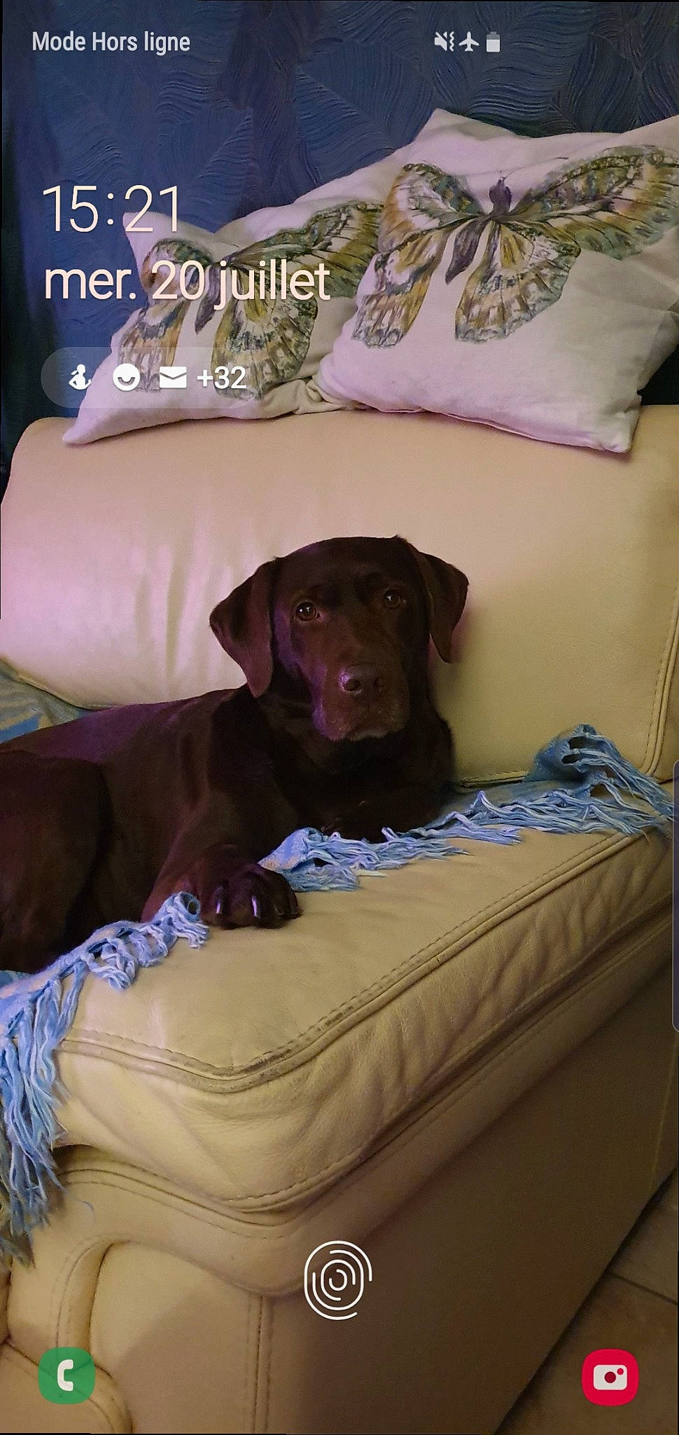 India participe au concours pour gagner de l'argent avec cette photo : bed, bedding, canidae, carnivore, comfort, companion_dog, dog, dog_breed, dog_collar, dog_supply, fawn, guard_dog, gun_dog, linens, liver, pet_supply, pointing_breed, room, sporting_group, working_animal