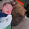 Kyren is registered to the contest to win money with this photo: baby, dog, sleeping, snuggle, closeup, face, pet, child, nap, blanket, cozy, fur, couch, comfort, rest, indoors, friendship, cute, warm, relaxation