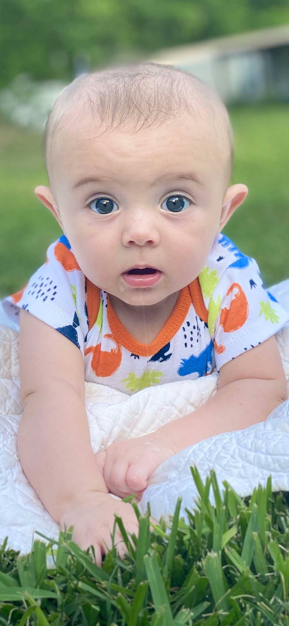 Caine joined the competition — help win amazing prizes! arm, baby_toddler_clothing, cheek, chin, dress, facial_expression, finger, hair, happy, head, human_body, iris, jeans, leaf, lip, nose, people_in_nature, person, plant, skin