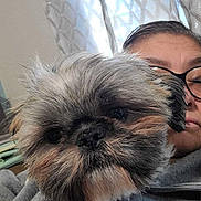 Boe joined the competition — help win amazing prizes! animal, casual, closeup, comfort, companion, cozy, curtain, dog, face, fluffy, friendship, furry, glasses, grey_clothing, indoors, person, pet, portrait, resting, zipper