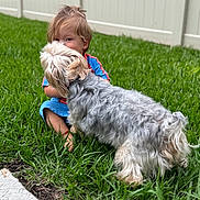 Hans joined the competition — help win amazing prizes! animal, backyard, casual, child, companionship, cute, dog, fence, friendship, fur, grass, greenery, happy, nature, outdoor, pet, playful, sitting, summer, young
