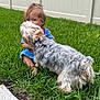animal, backyard, casual, child, companionship, cute, dog, fence, friendship, fur, grass, greenery, happy, nature, outdoor, pet, playful, sitting, summer, young