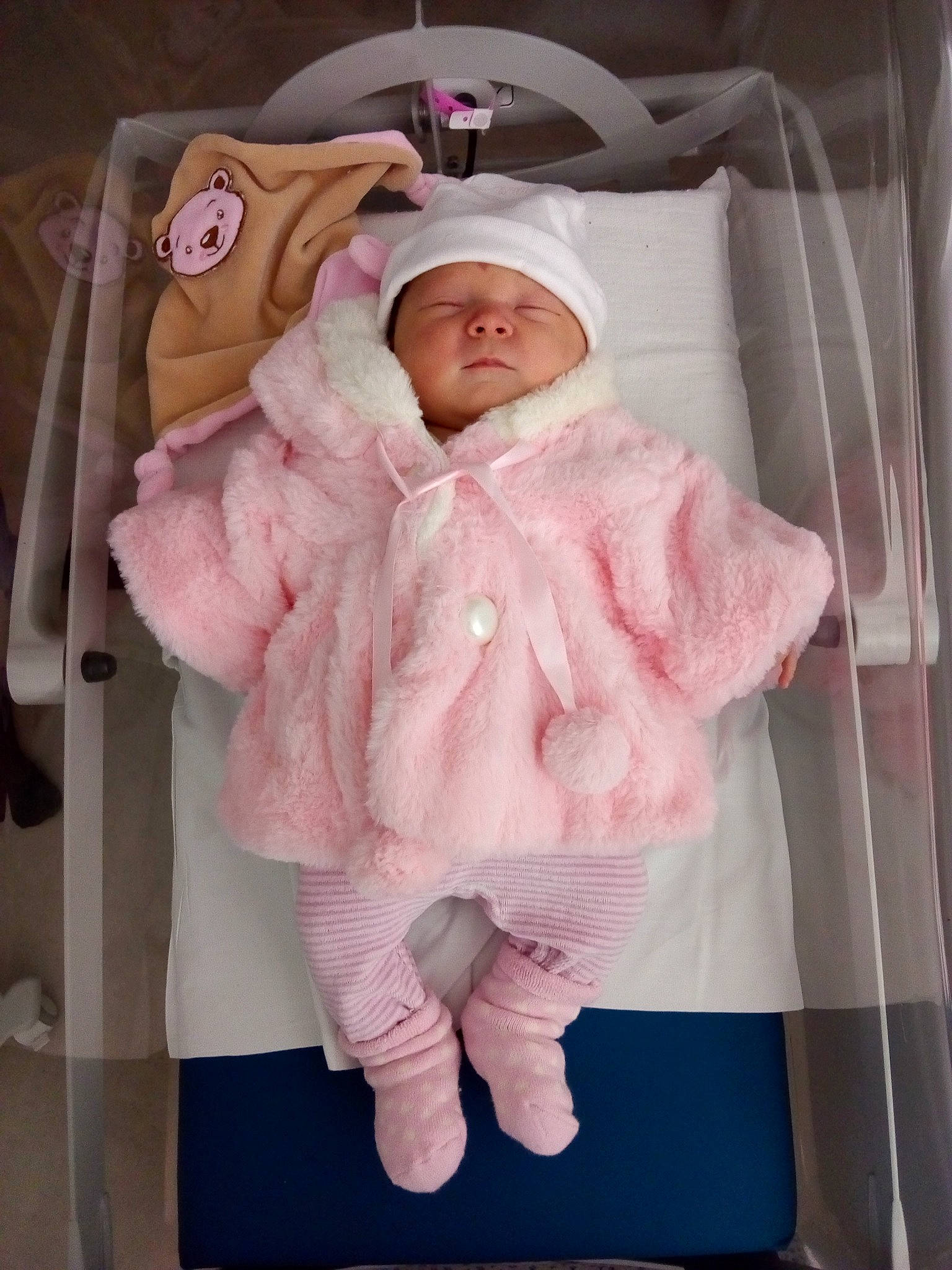 Aliya participe au concours pour gagner de l'argent avec cette photo : child, costume, fur, fur_clothing, girl, headwear, infant, material, outerwear, person, pink, product, textile, toddler