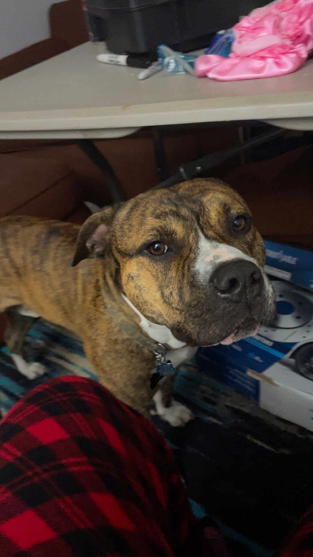 Jack