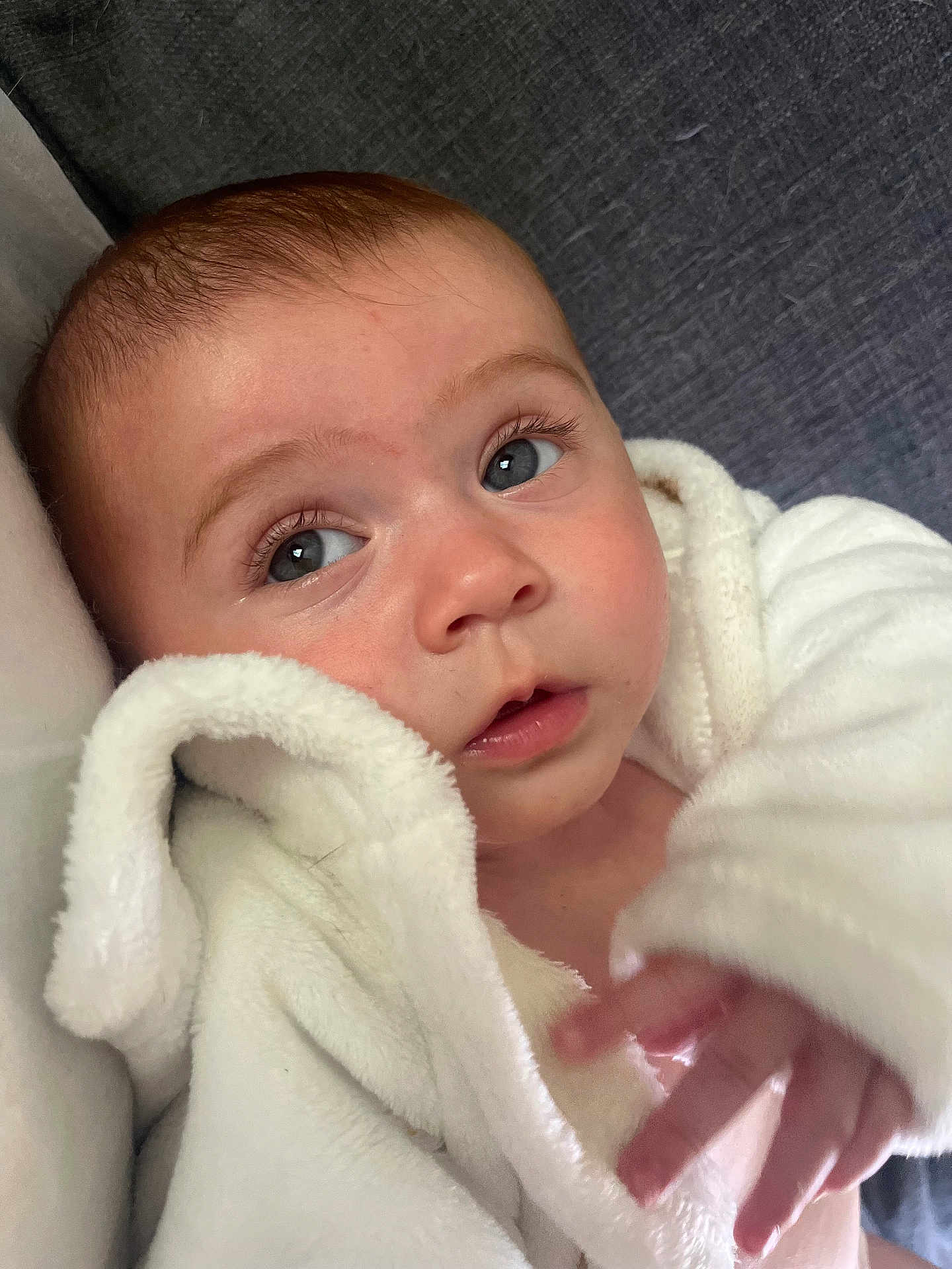 Sarahlouisejasmine is registered to the contest to win money with this photo: baby, infant, face, eyes, blanket, white, soft, skin, expression, curious, close_up, portrait, hand, couch, furniture, indoors, child, young, cozy, warm