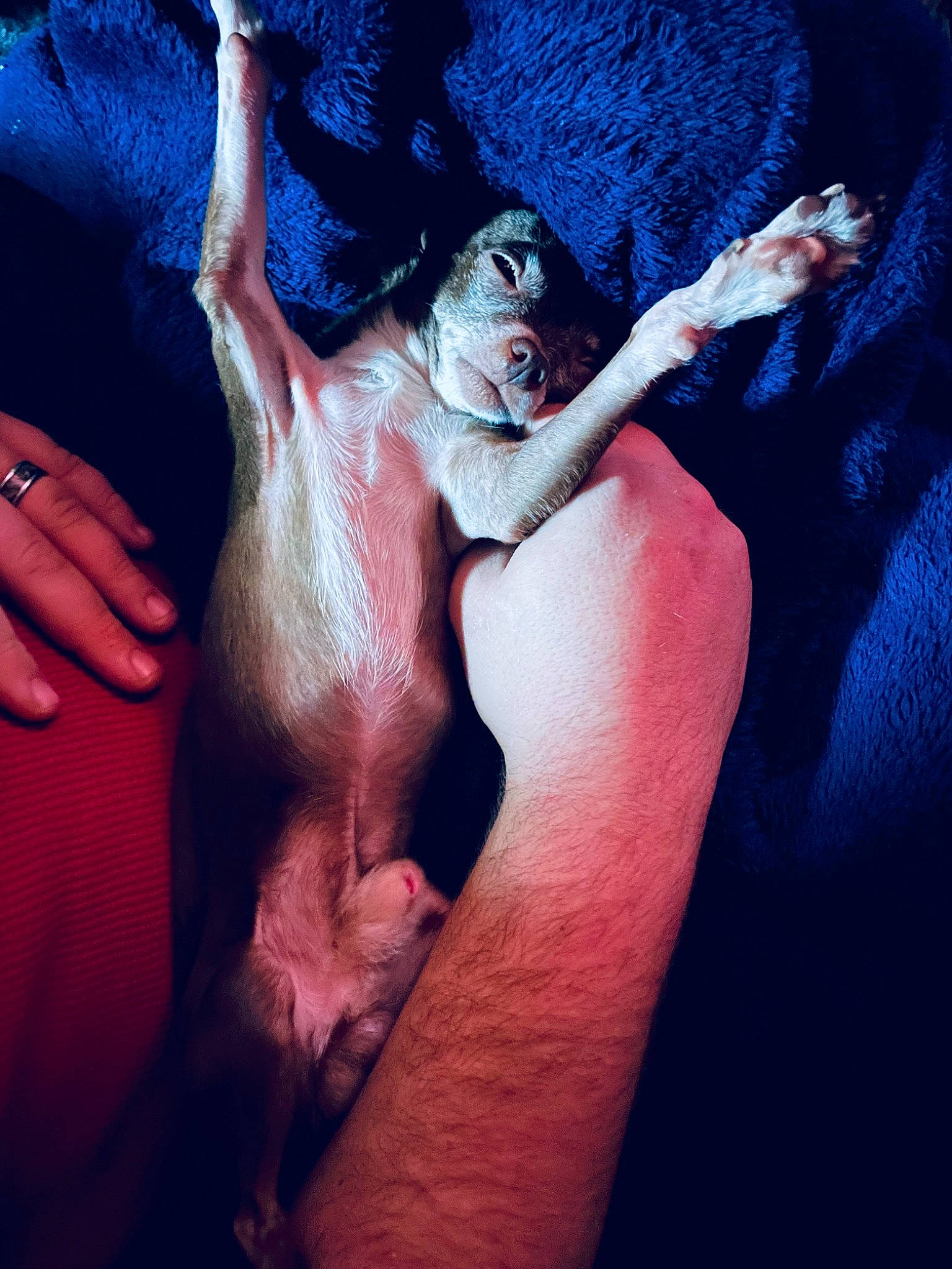 Quinn is registered to the contest to win money with this photo: abdomen, art, chest, darkness, elbow, electric_blue, finger, flash_photography, gesture, human_leg, leg, nail, painting, people_in_nature, religious_item, shoulder, thigh, thumb, trunk, wrist