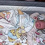 Lily is registered to the contest to win money with this photo: newborn, baby, blanket, crib, sleeping, pacifier, floral_pattern, infant, bed, child, soft_lighting, indoors, cute, peaceful, resting, wrapped, pink_clothing, toddler, nursery, comfort
