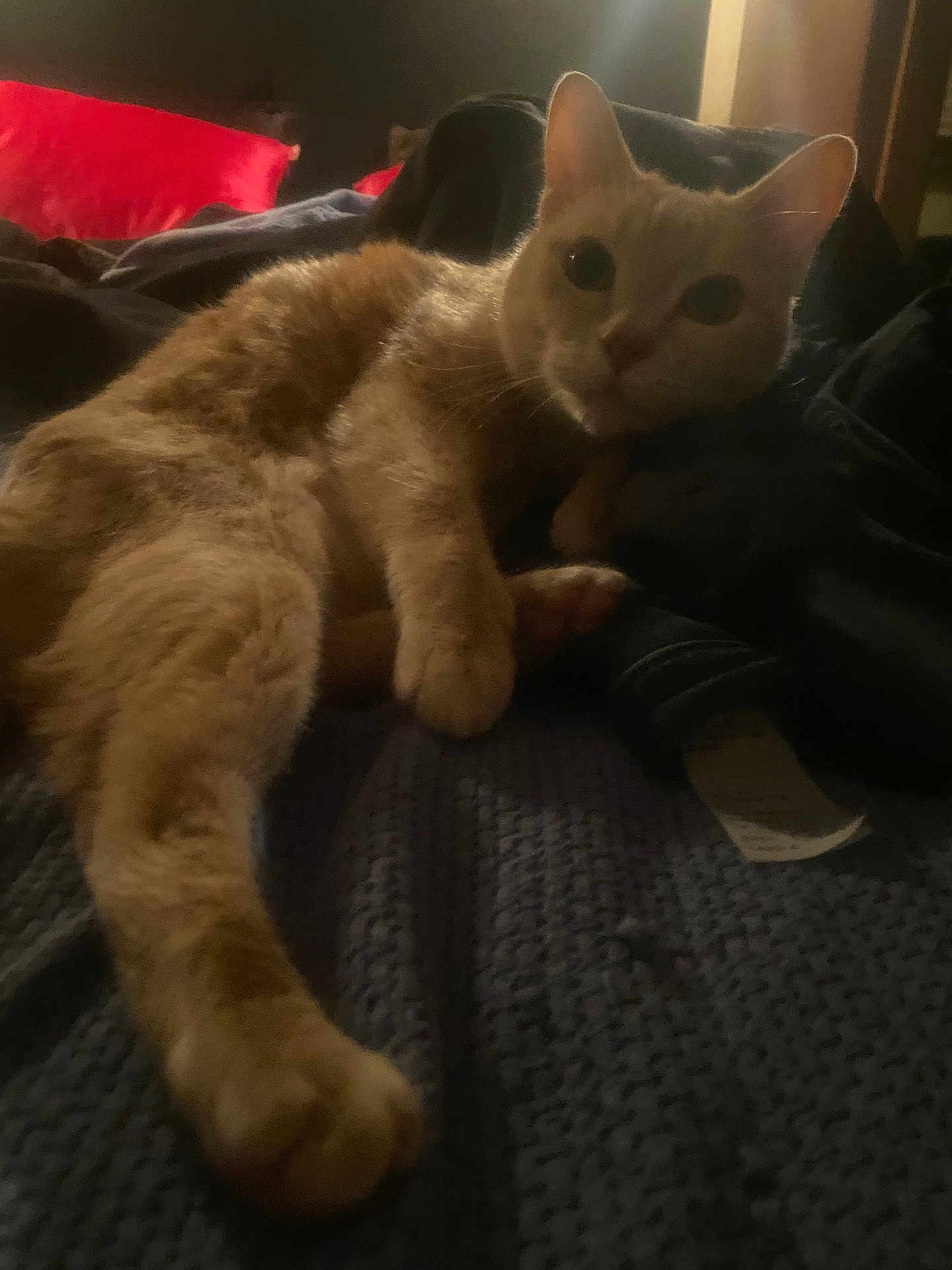Nacho
