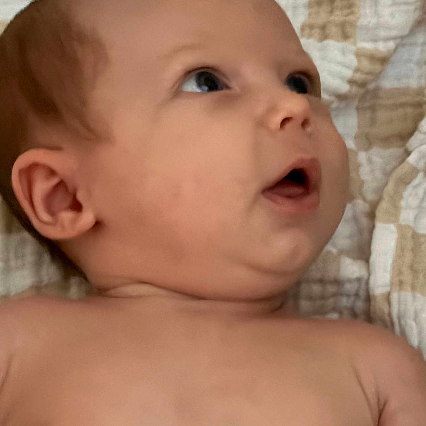 Sutton is registered to the contest to win money with this photo: baby, infant, face, skin, head, ear, mouth, eyes, blanket, quilt, expression, curious, closeup, portrait, child, newborn, soft, indoors, lying, young