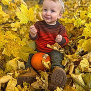 Phineas joined the competition — help win amazing prizes! toddler, child, autumn, fall_leaves, pumpkin, outdoor, smiling, blue_eyes, boots, sweater, yellow_leaves, nature, seasonal, cute, portrait, sitting, playful, fall_foliage, happy, young_child
