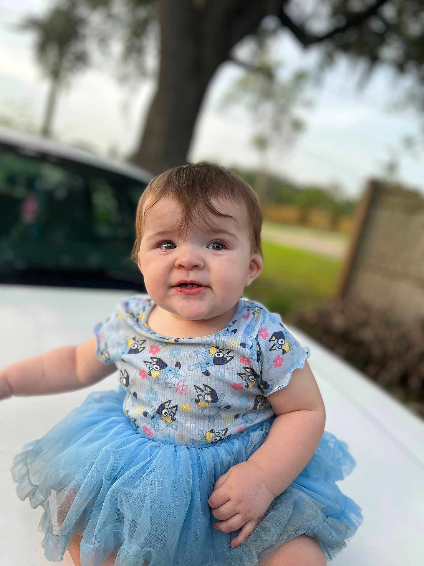 Theresa is registered to the contest to win money with this photo: baby, child, blue_tutu, shirt, outdoor, nature, tree, fence, white_surface, smile, curious, cute, sitting, young_child, person, short_hair, daylight, grass, playful, portrait