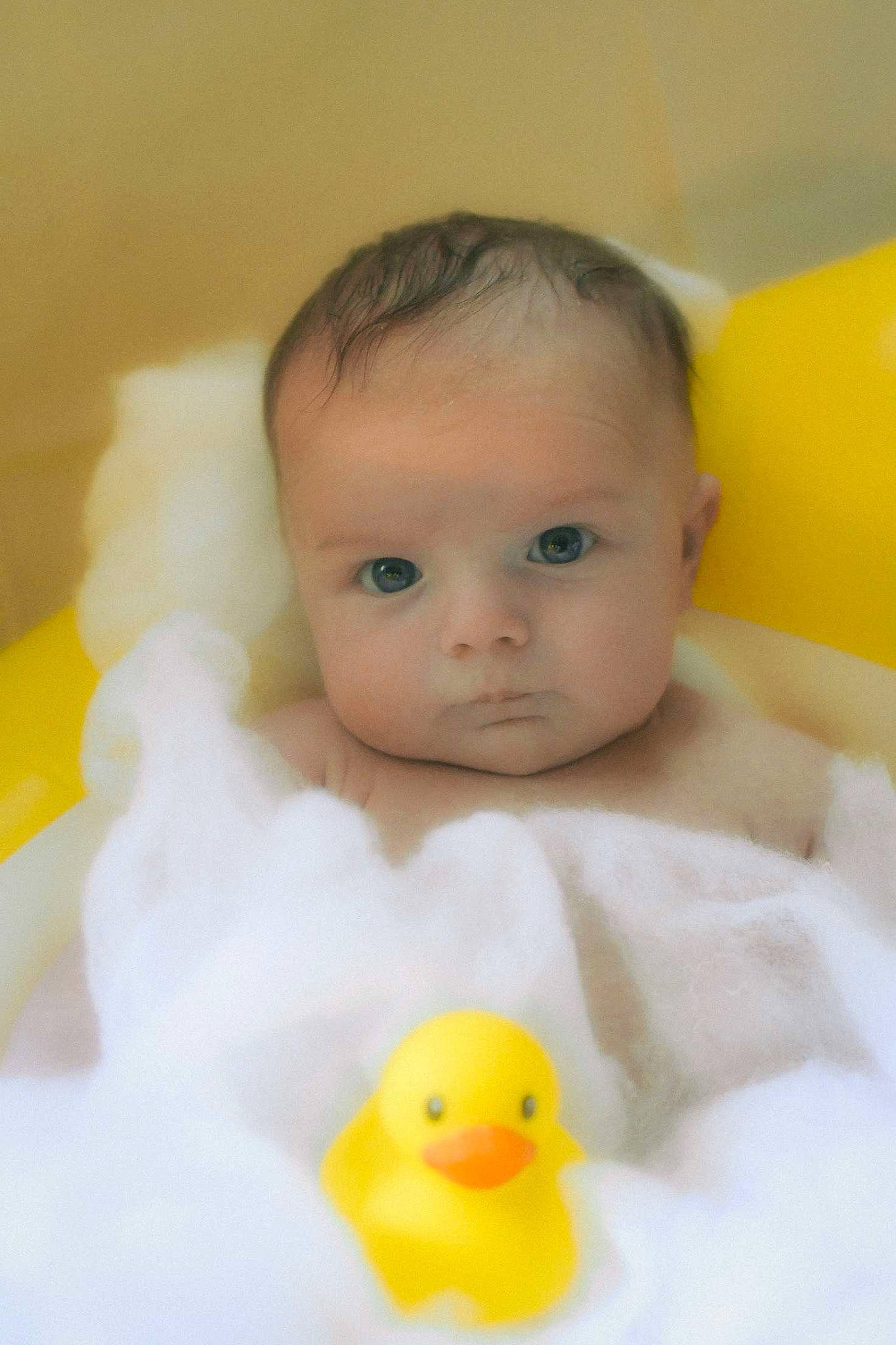 Bennett is registered to the contest to win money with this photo: _geese_and_swans, baby, baby_products, baby_toddler_clothing, bath_toy, beak, bird, cheek, chest, child, duck, ducks, eye, iris, livestock, neck, person, rubber_ducky, skin, toddler