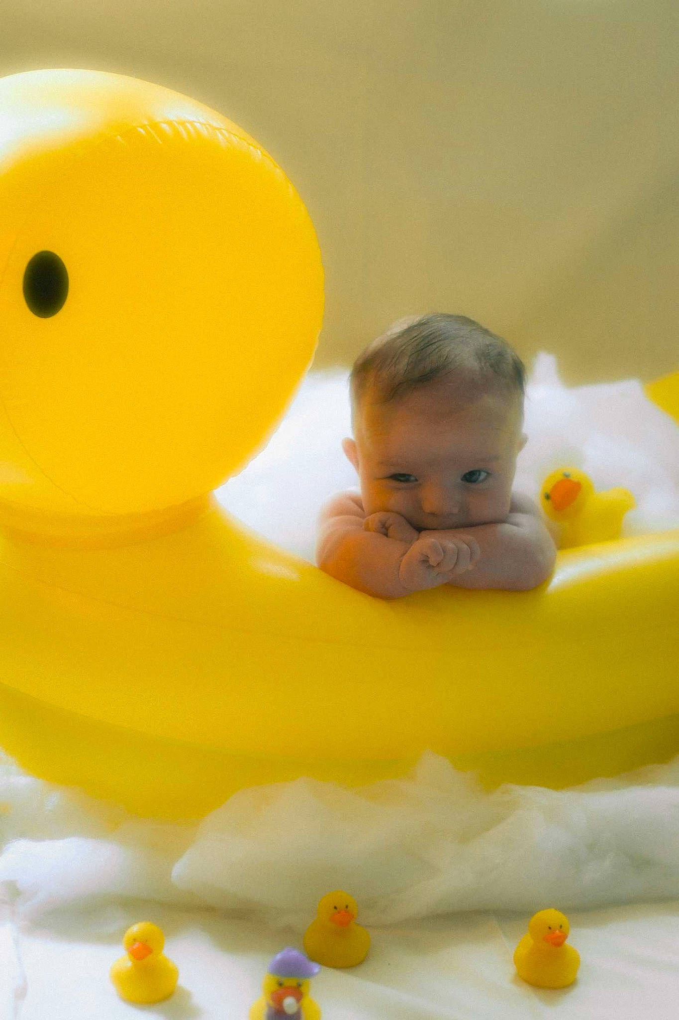 Bennett joined the competition — help win amazing prizes! _geese_and_swans, baby, baby_playing_with_toys, baby_products, baby_toddler_clothing, baby_toys, bath_toy, bathing, child, duck, ducks, flooring, fun, happy, person, play, rubber_ducky, sitting, toddler, toy