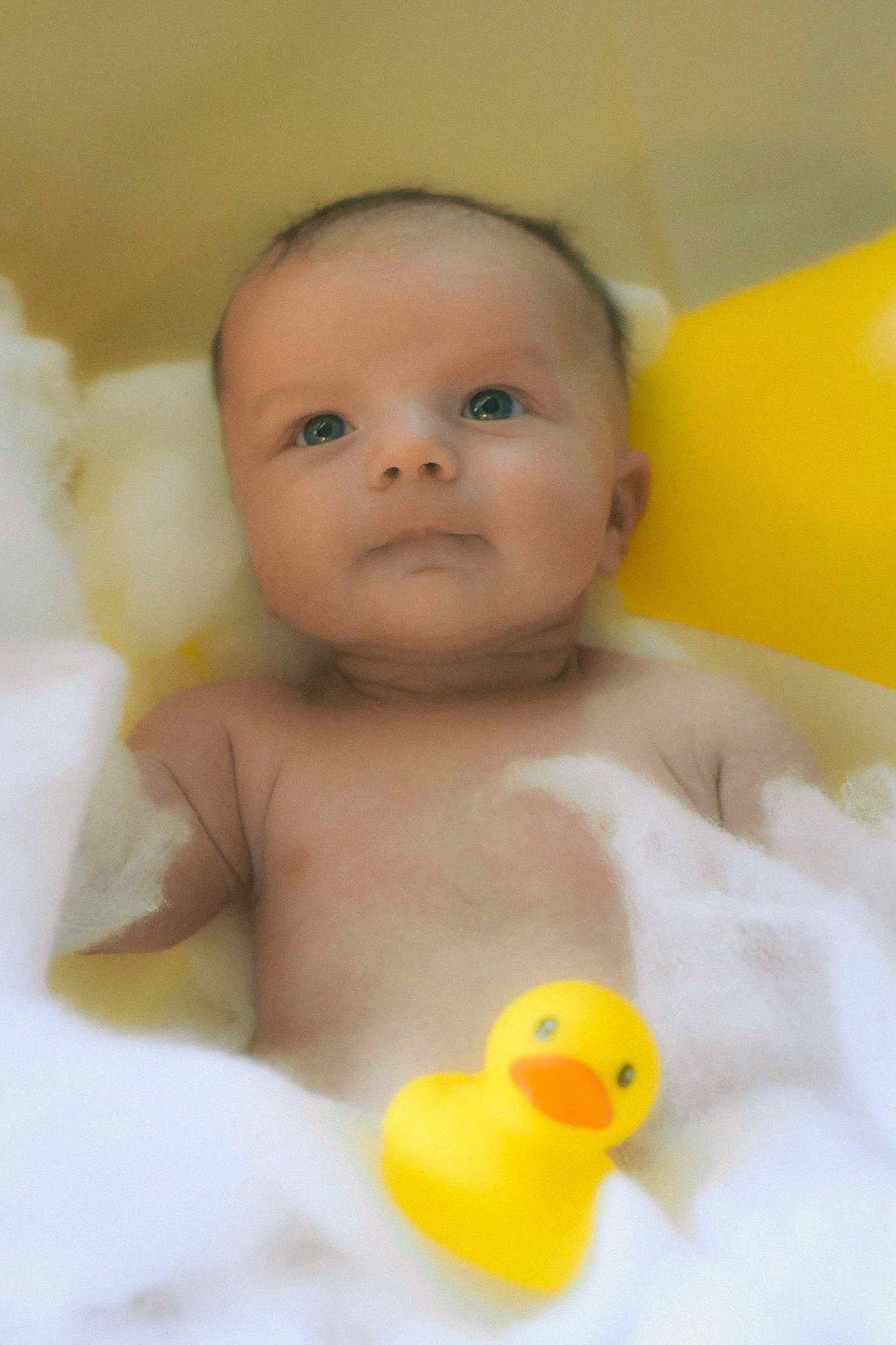Bennett is registered to the contest to win money with this photo: _geese_and_swans, baby, baby_playing_with_toys, bath_toy, bathing, bathtub, cheek, chest, child, chin, ducks, eye, eyebrow, happy, iris, nose, person, product, rubber_ducky, skin