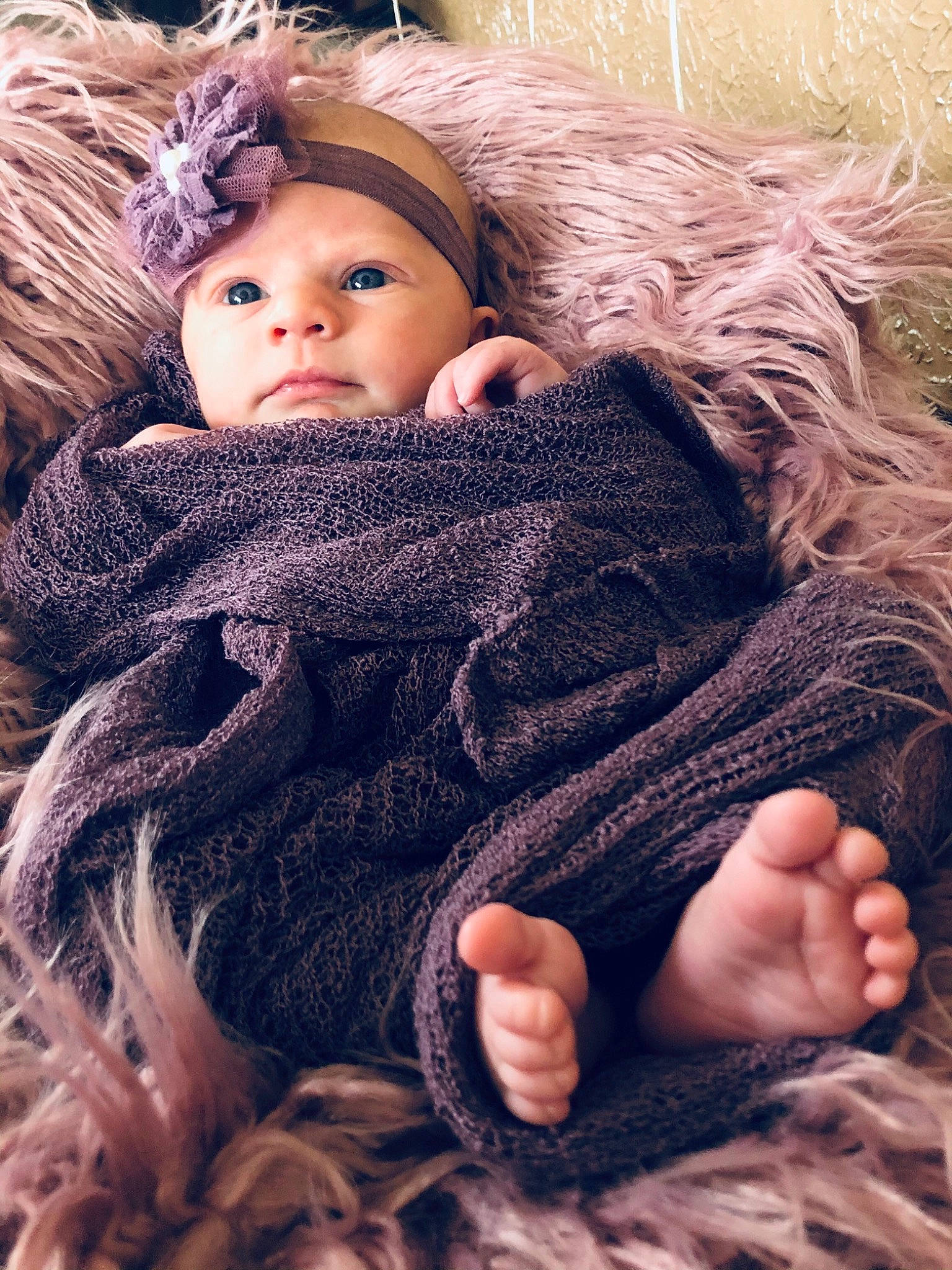 Bexlee joined the competition — help win amazing prizes! brown_hair, child, close_up, comfort, creative_arts, eyelash, fur, gesture, grass, headwear, mammal, outerwear, pattern, person, photograph, skin, textile, thumb, vertebrate, white