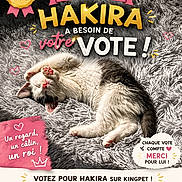 Hakira participe au concours pour gagner de l'argent avec cette photo : advertisement, animal, cat, contest, cozy, cute, domestic_cat, feline, fluffy_rug, gray, heart, paw, pet, pink, poster, relaxing, resting, sleeping, text_overlay, vote
