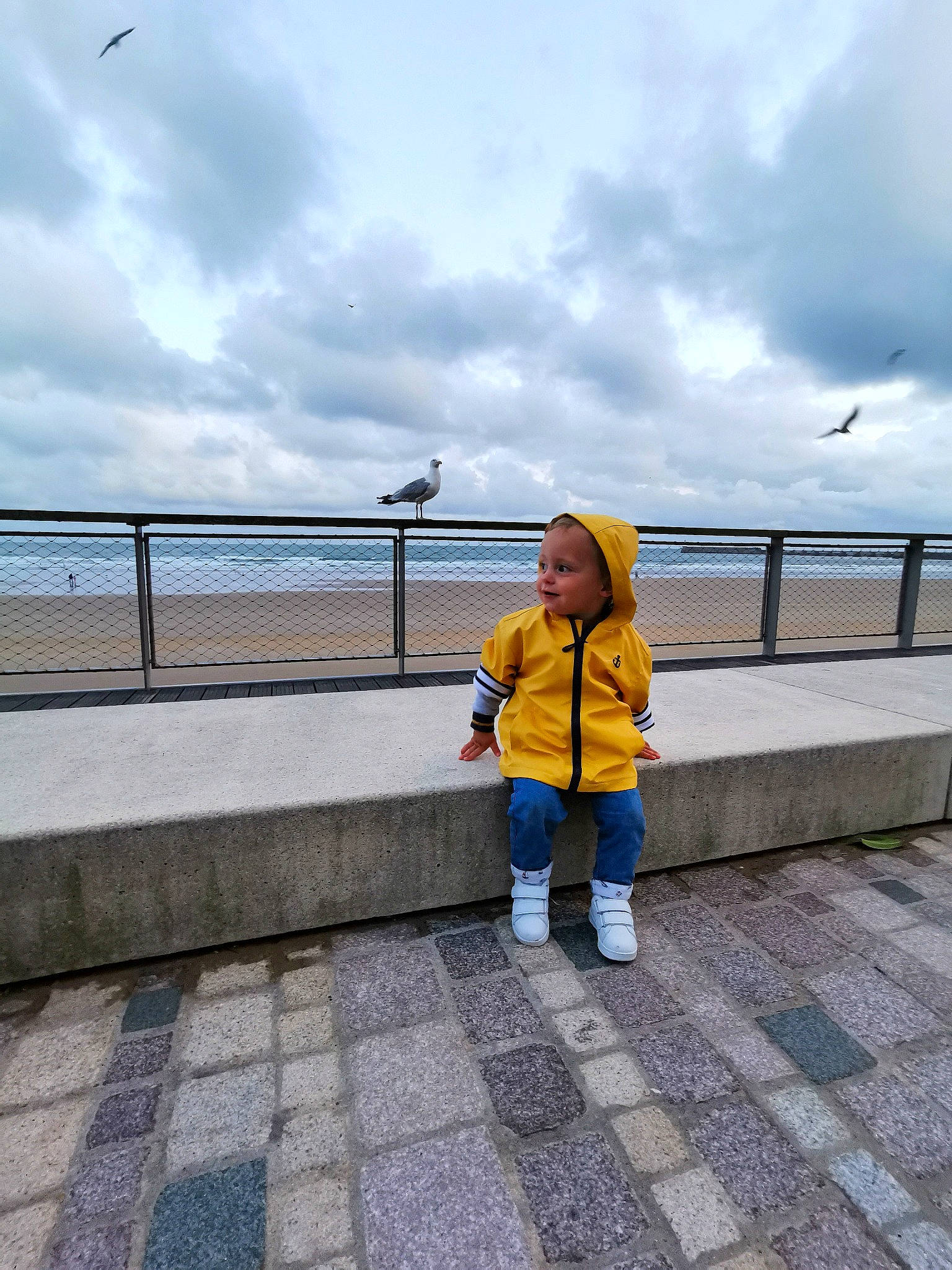 Liam participe au concours pour gagner de l'argent avec cette photo : cloud, coast, fence, fun, guard_rail, handrail, horizon, jacket, leisure, ocean, pedestrian, person, road, seabird, sitting, sky, toddler, tourism, travel, walkway