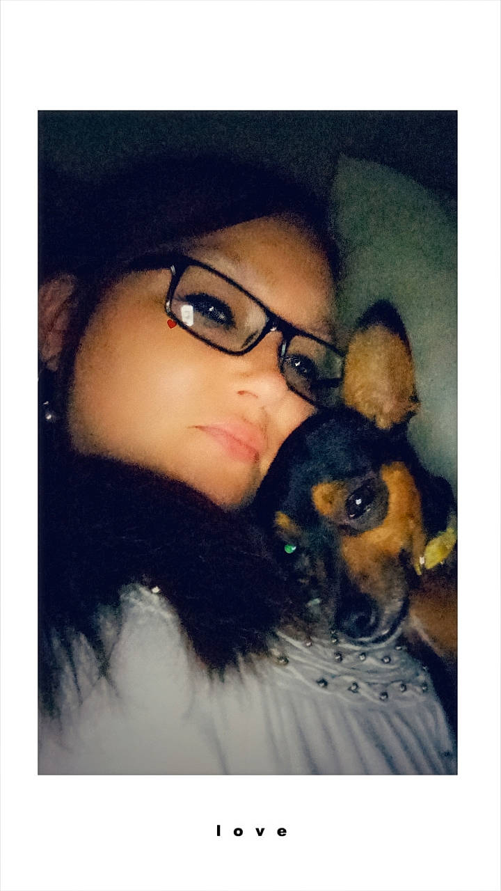 Bubbles is registered to the contest to win money with this photo: black_hair, carnivore, companion_dog, cool, dog, dog_breed, ear, eyelash, eyewear, fawn, gesture, glasses, happy, head, iris, jaw, long_hair, nose, snout, vision_care