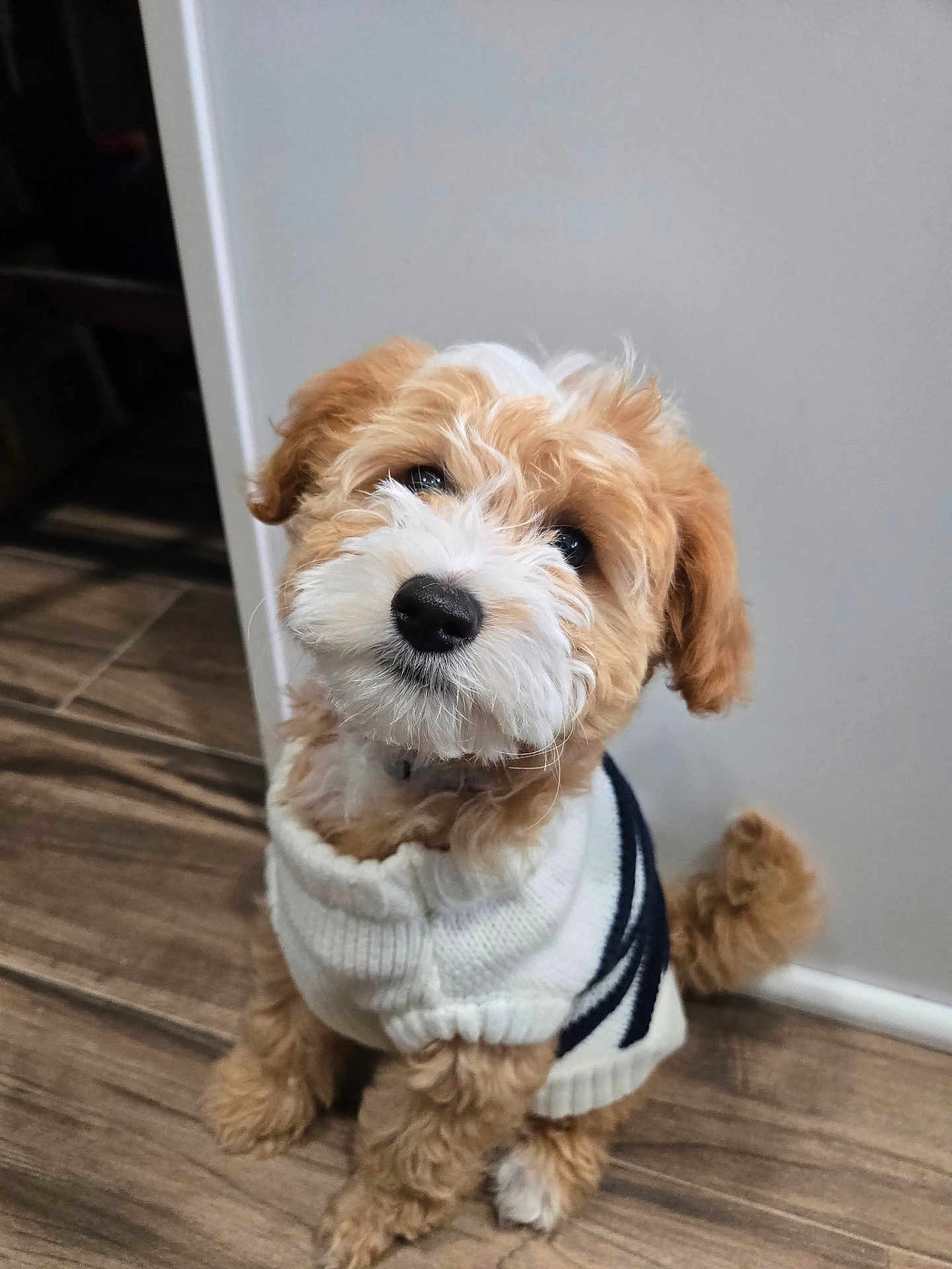 Oakley