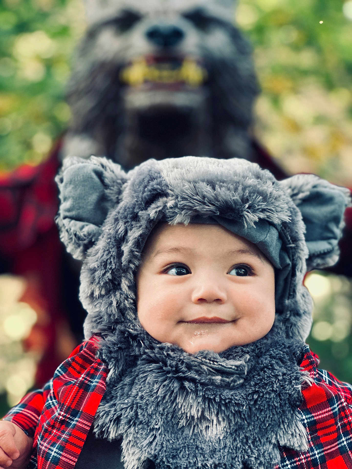 Aurelio Sebastian joined the competition — help win amazing prizes! baby, child, costume, wolf, fluffy, fur, hat, ears, smile, face, portrait, red_plaid, clothing, person, outdoor, nature, blurred_background, cute, playful, holiday