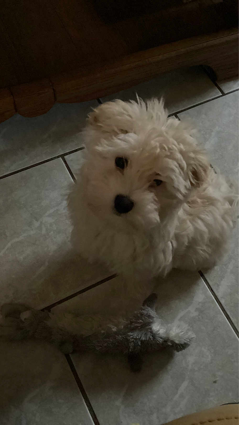 Benjy