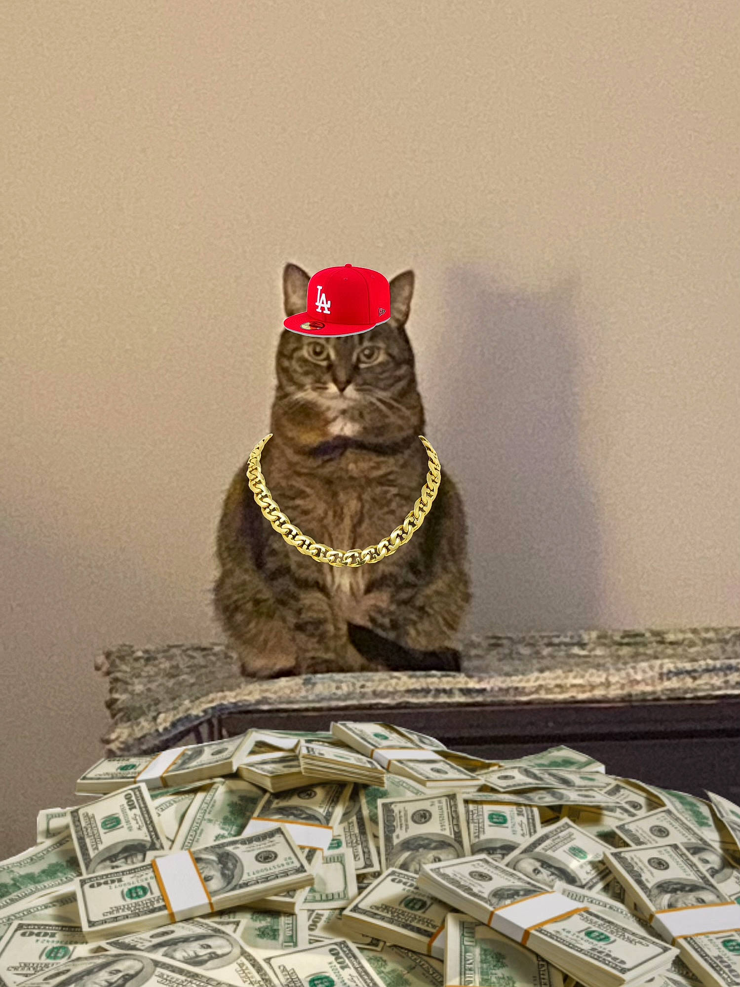 Kiki joined the competition — help win amazing prizes! art, bird_of_prey, black_cat, carnivore, cat, felidae, fur, glasses, money_handling, owl, rectangle, sculpture, small_to_medium_sized_cats, tail, teddy_bear, toy, tree, visual_arts, whiskers, wood