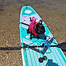Jack-Jack joined the competition — help win amazing prizes! dog, paddleboard, water, life_jacket, outdoor, sunlight, shadow, rope, paddle, animal, pet, recreation, summer, lake, small_dog, black_dog, adventure, shallow_water, clear_water, sport