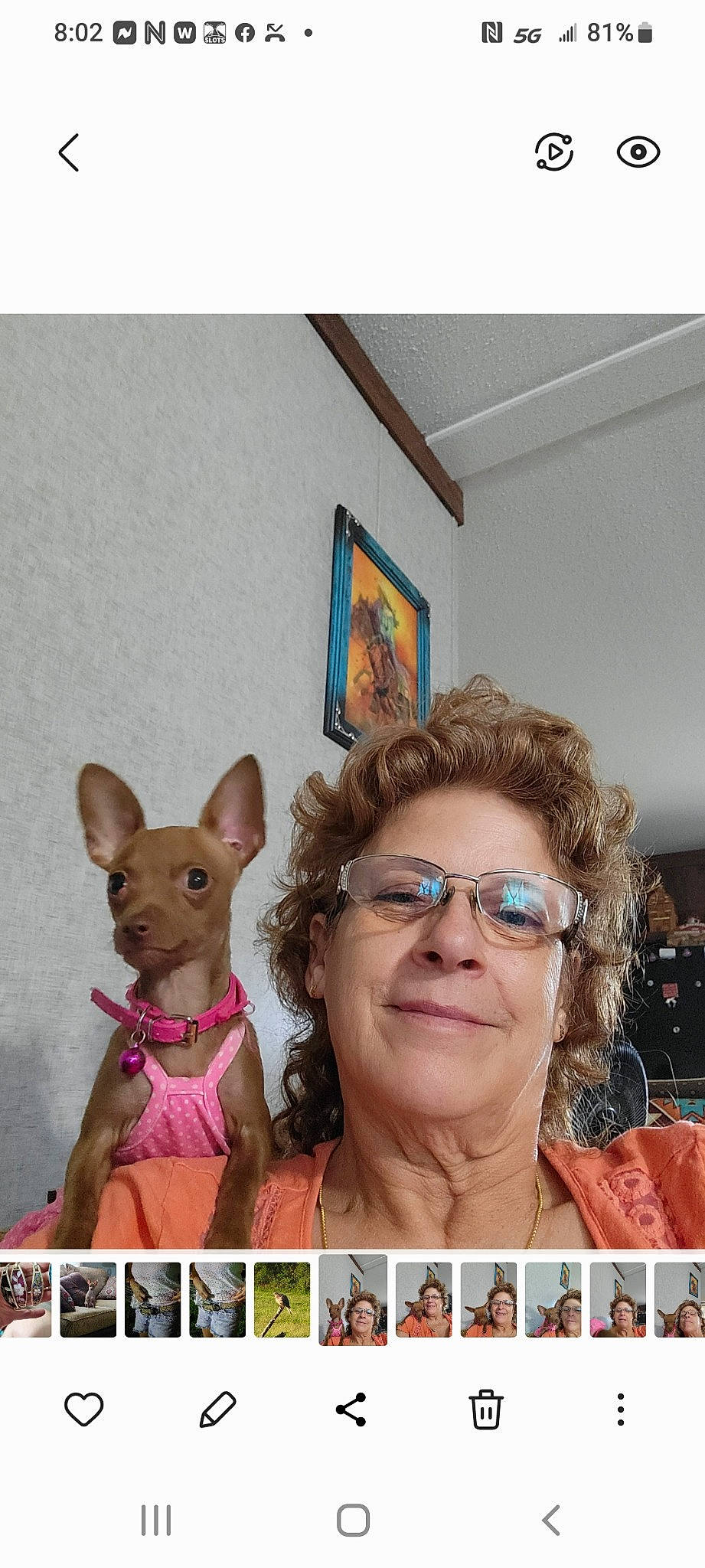 Punkin joined the competition — help win amazing prizes! animal_figure, art, companion_dog, dog_breed, ear, event, eyewear, fawn, fun, gesture, glasses, happy, mammal, picture_frame, selfie, smile, toy, vertebrate, vision_care, working_animal