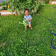 Amelliano is registered to the contest to win money with this photo: toddler, child, grass, watering_can, barefoot, smiling, garden, plants, greenery, outdoor, sunlight, rooster_statue, toy, yard, nature, happy, clothing, summer, playful, vegetation