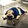Pugsley