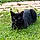 Salem