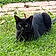 Salem