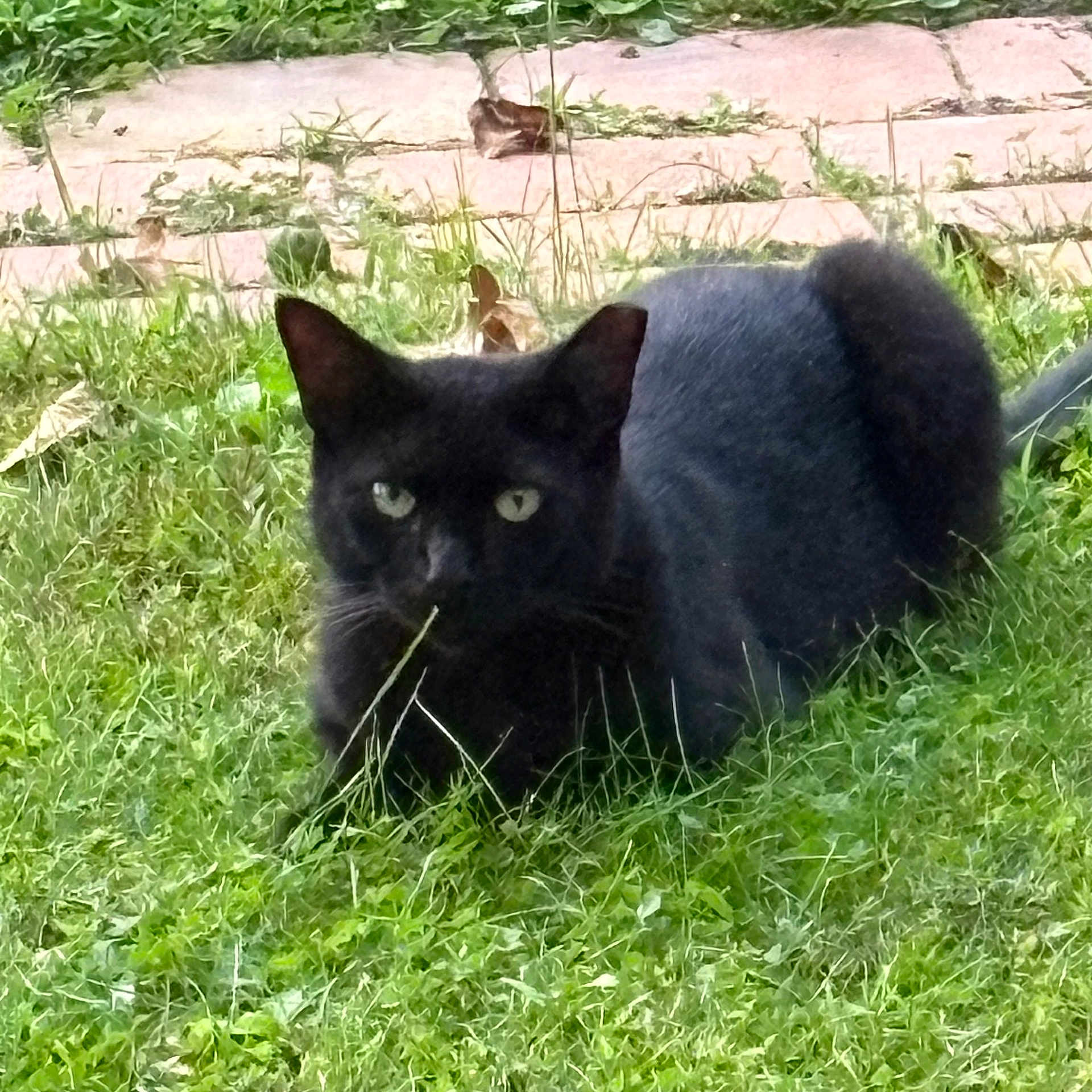 Salem