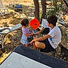 backyard, barbecue, boy, cat, chair, child, cooking, family, food, garden, girl, grill, hamburger, outdoor, picnic, play, summer, sunlight, table, trees
