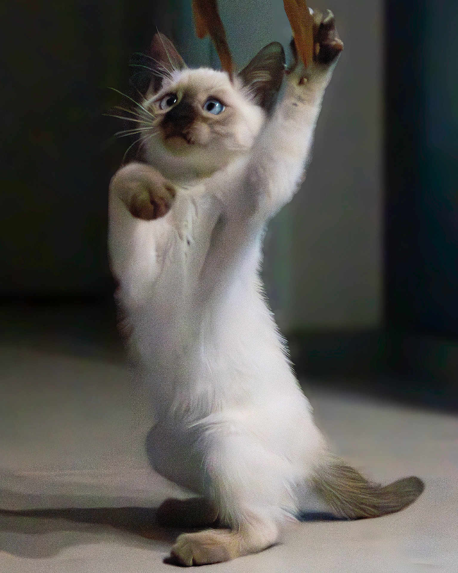 Nala