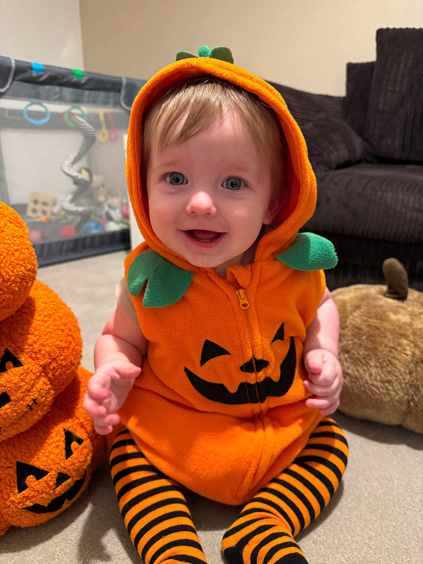 Joey joined the competition — help win amazing prizes! baby, child, pumpkin_costume, halloween, orange, hood, striped_leggings, smiling, indoor, plush_toy, carpet, furniture, couch, face, happy, sitting, cute, holiday, festive, toy