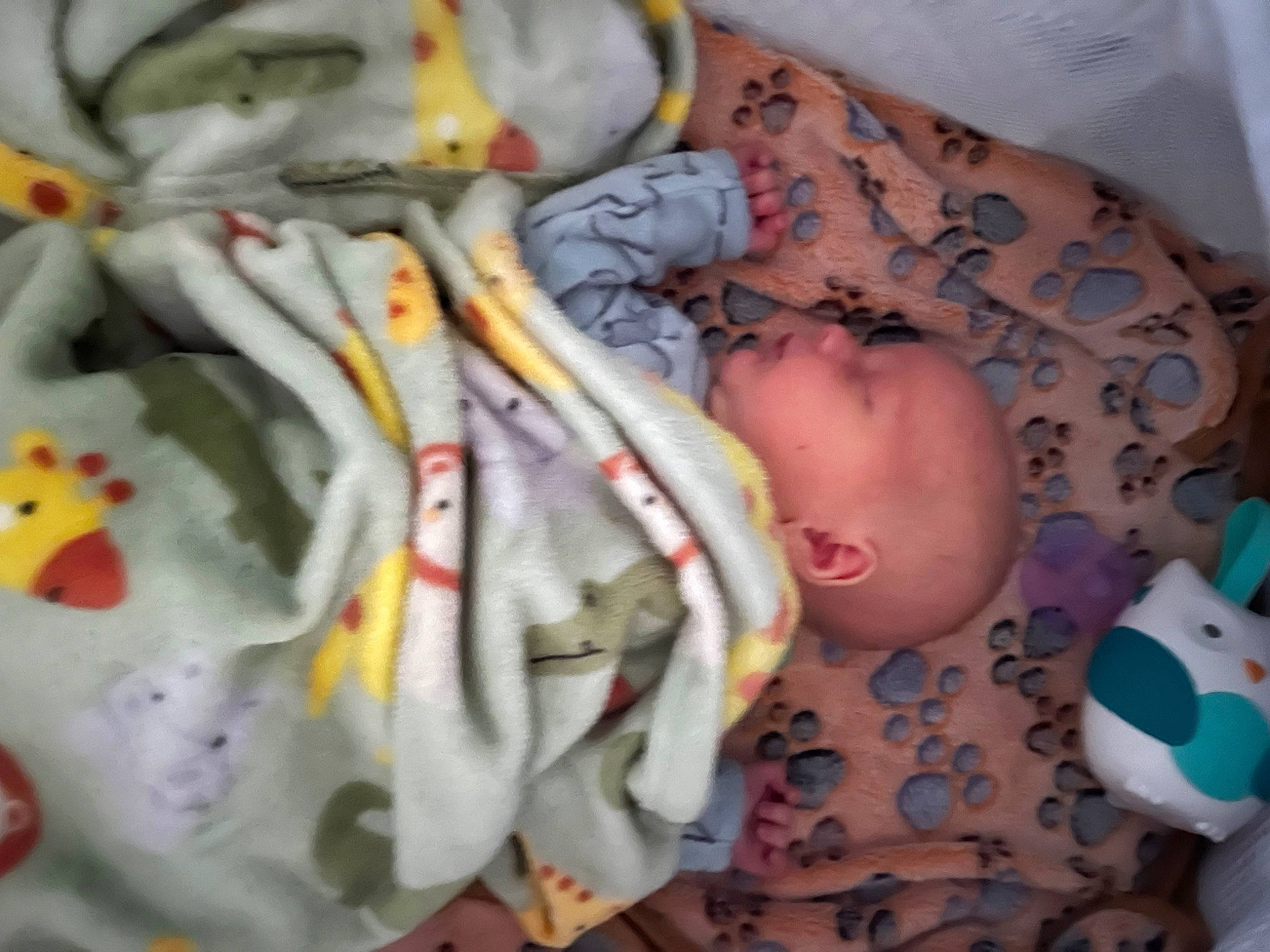 Carter joined the competition — help win amazing prizes! abdomen, baby, baby_products, baby_toddler_clothing, cheek, chest, child, comfort, human_anatomy, human_body, linens, mouth, neck, pattern, person, product, room, textile, toddler, trunk