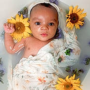 Djana participe au concours pour gagner de l'argent avec cette photo : baby, infant, flower, sunflower, water, milky_water, wrapped, cloth, floating, portrait, cute, peaceful, skin, face, eyes, flower_bath, baby_bath, nature, relaxation, small_child