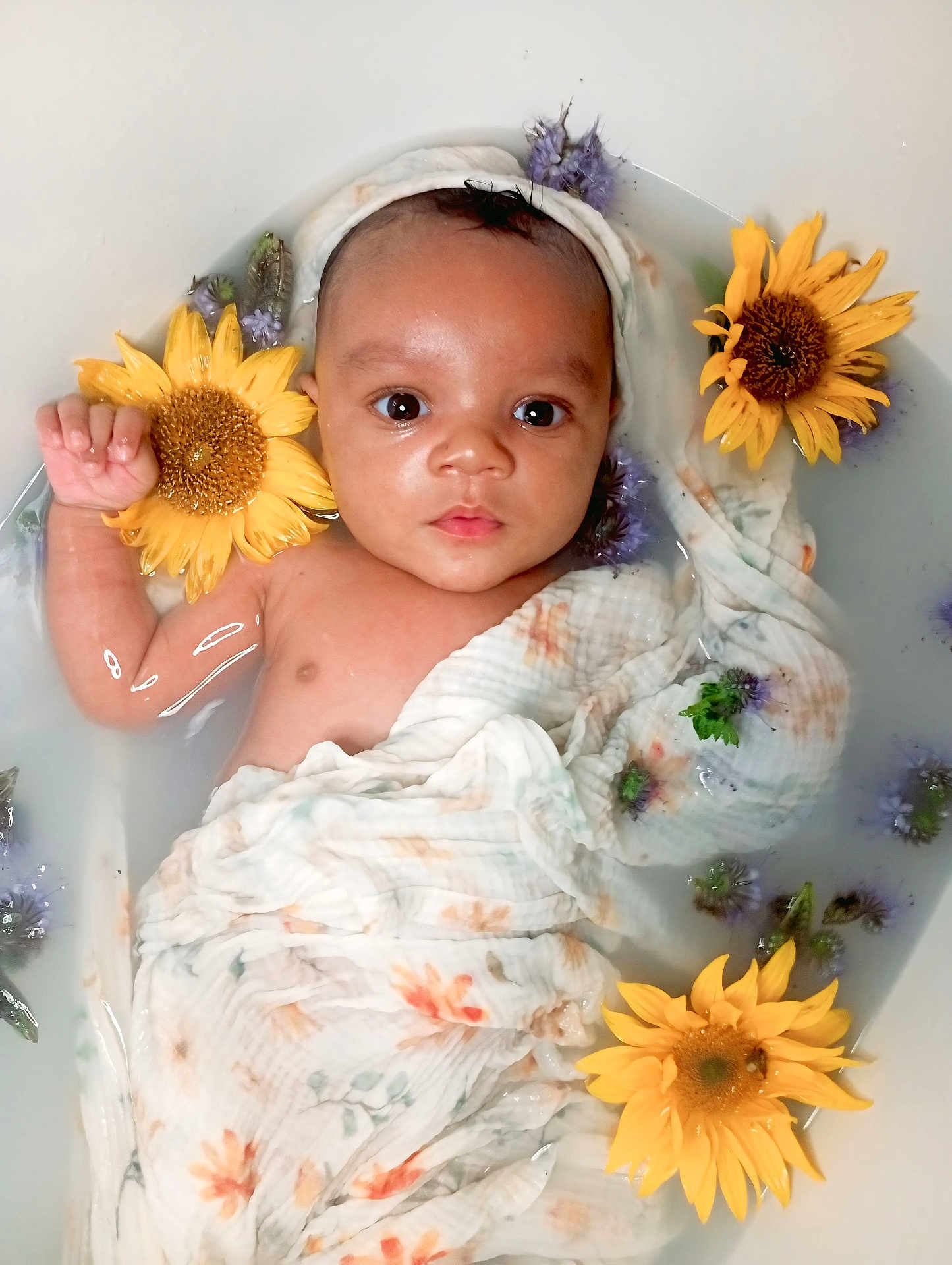 Djana participe au concours pour gagner de l'argent avec cette photo : baby, infant, flower, sunflower, water, milky_water, wrapped, cloth, floating, portrait, cute, peaceful, skin, face, eyes, flower_bath, baby_bath, nature, relaxation, small_child