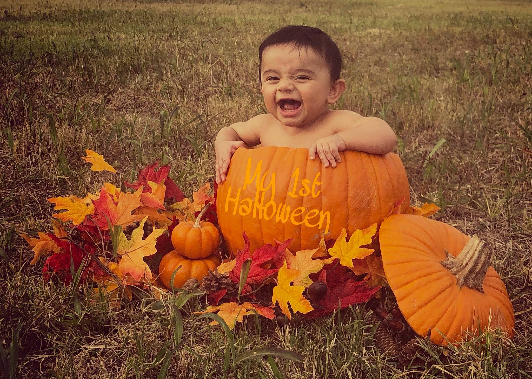 Jaxson is registered to the contest to win money with this photo: adaptation, calabaza, cucurbita, eye, gourd, grass, happy, head, meadow, morning, natural_foods, orange, people_in_nature, person, plant, pumpkin, smile, squash, toddler, vegetable