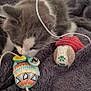 kitten, cat, toy_mouse, string, wooden_stick, blanket, gray, white, furry, pet, indoor, cozy, playful, curious, closeup, soft_texture, animal, small_toys, resting, cute