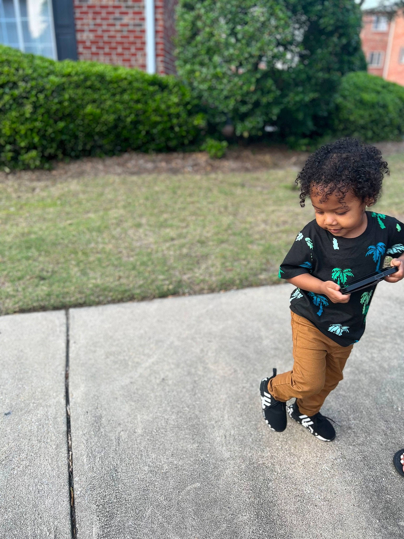 Roman is registered to the contest to win money with this photo: asphalt, baby, child, driveway, flooring, garden, grass, leisure, person, plant, recreation, road, road_surface, shorts, shrub, sidewalk, street, toddler, tree, walking