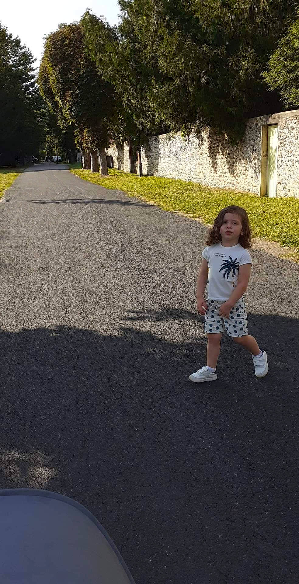 Lazare a rejoint le concours — aidez-le/la à gagner de superbes lots ! asphalt, grass, human_leg, landscape, leg, leisure, pedestrian, people_in_nature, person, plant, recreation, road, road_surface, shadow, sidewalk, tar, tints_and_shades, tree, walking, woody_plant